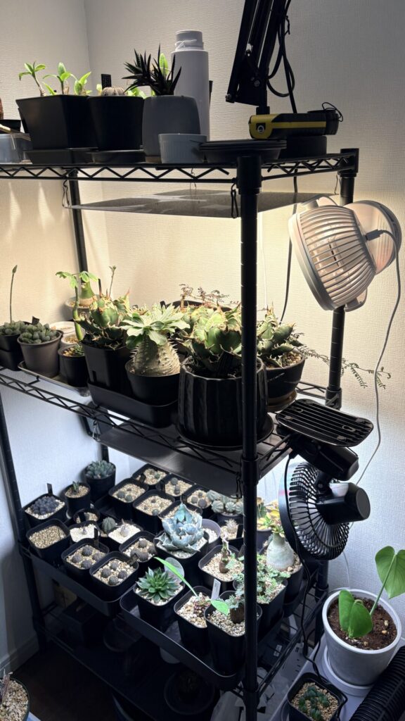 SwitchBotで自動管理している植物棚