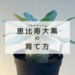 記事アイコン