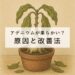 【アデニウムが柔らかい？】原因とすぐ試せる改善法